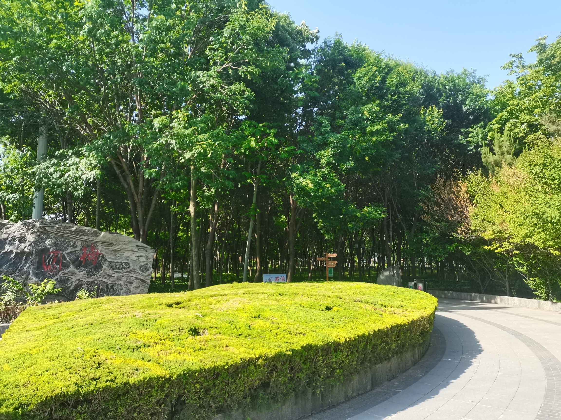 宋璟梅园旅行图片 1