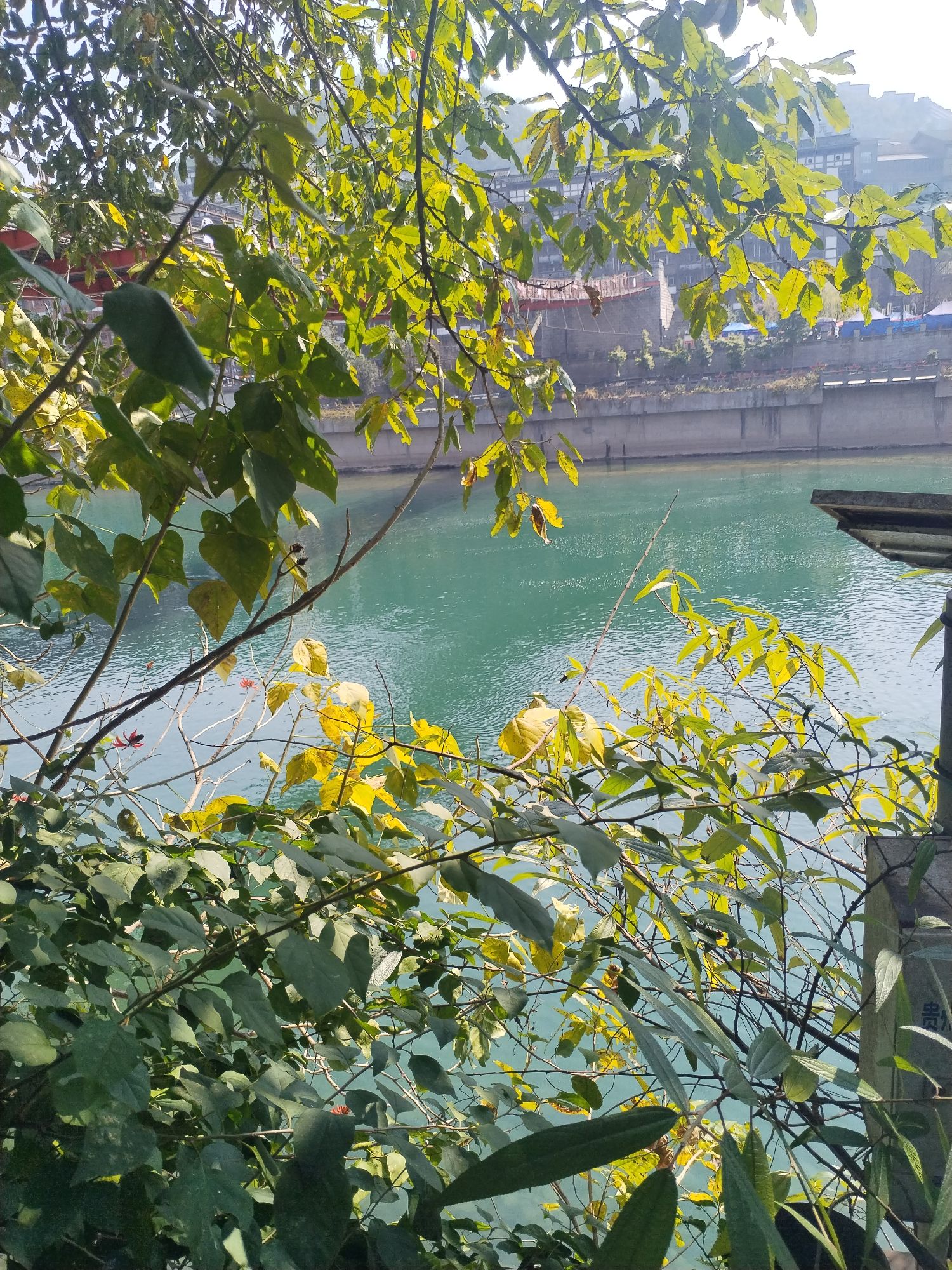 茅台渡口旅行图片 3