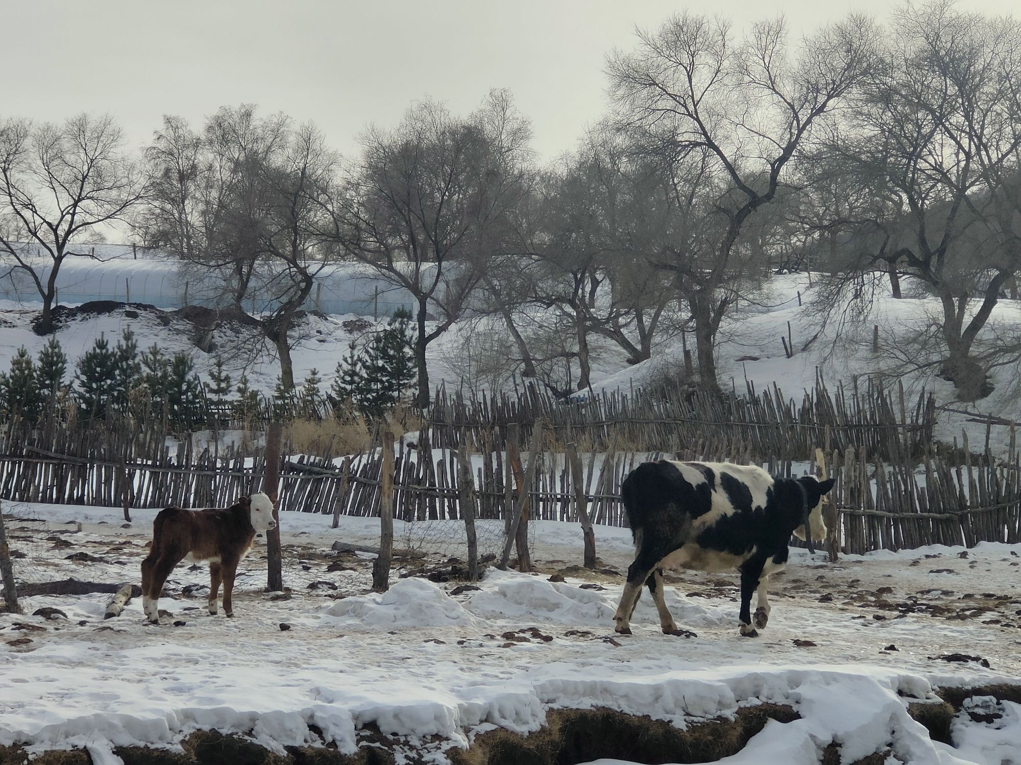 蛤蟆坝景区旅行图片 3