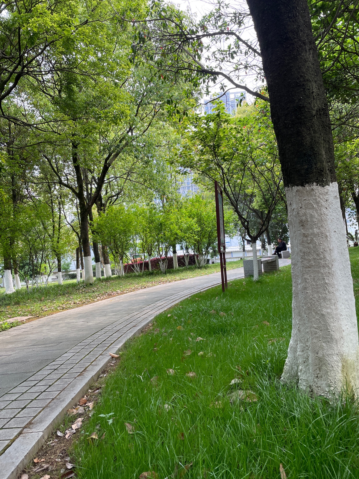 秀屿山公园旅行图片 3
