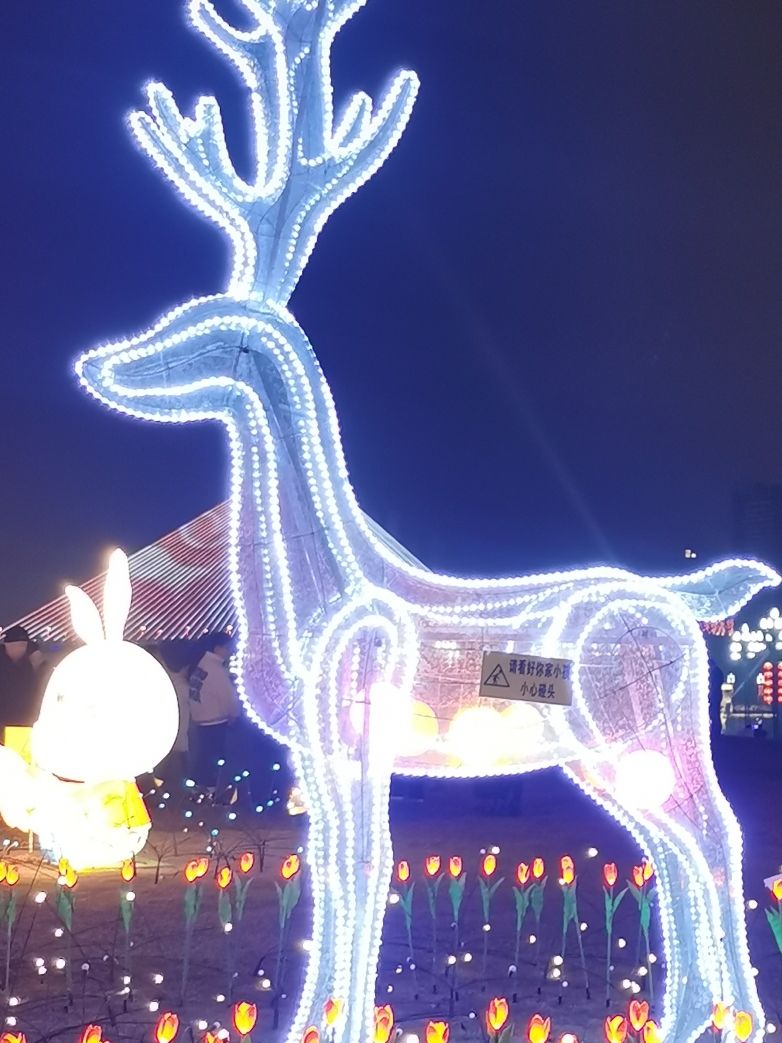 大溪口城市公园旅行图片 3