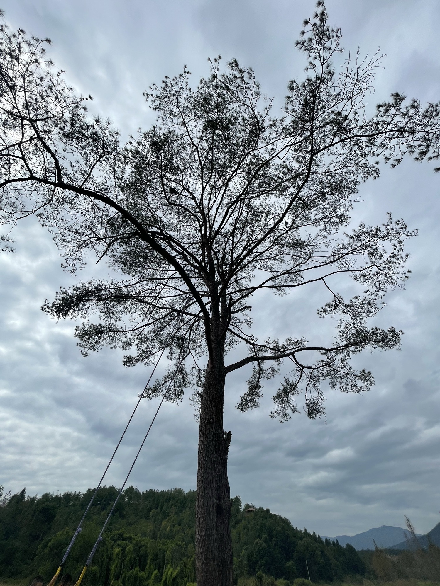 千鹭湖景区旅行图片 3