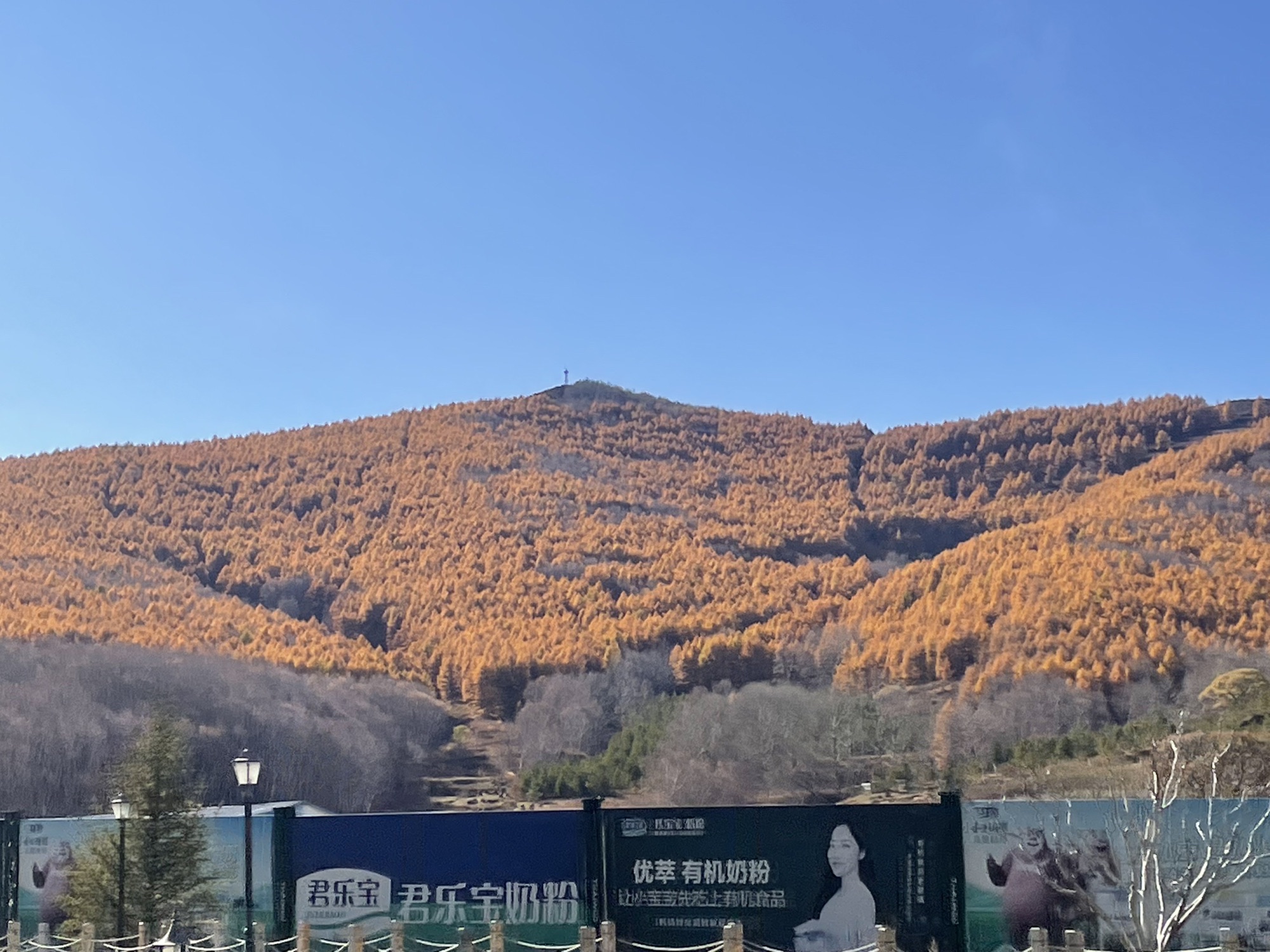 崇礼喜鹊梁景区旅行图片 3