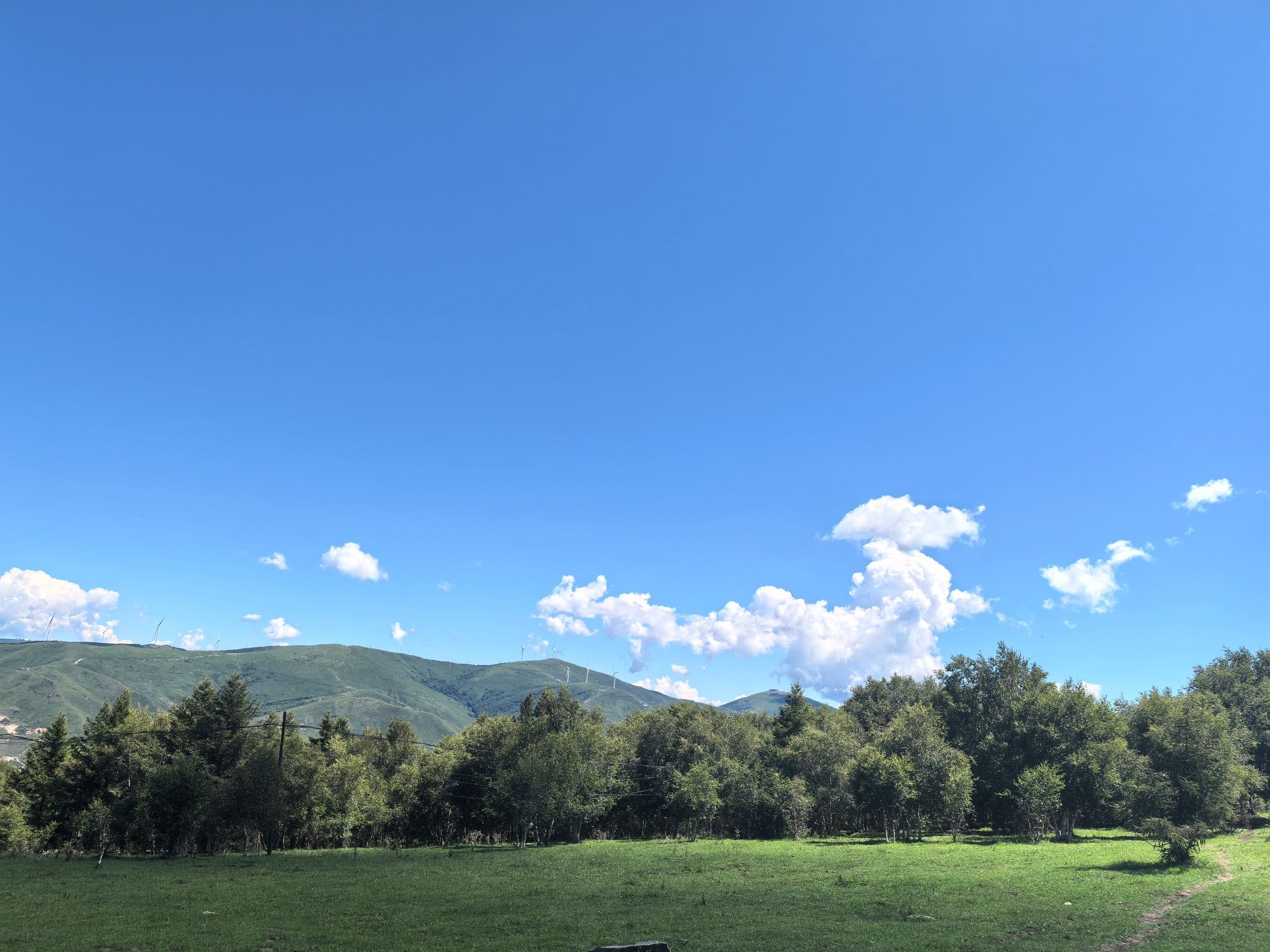 崇礼喜鹊梁景区旅行图片 1