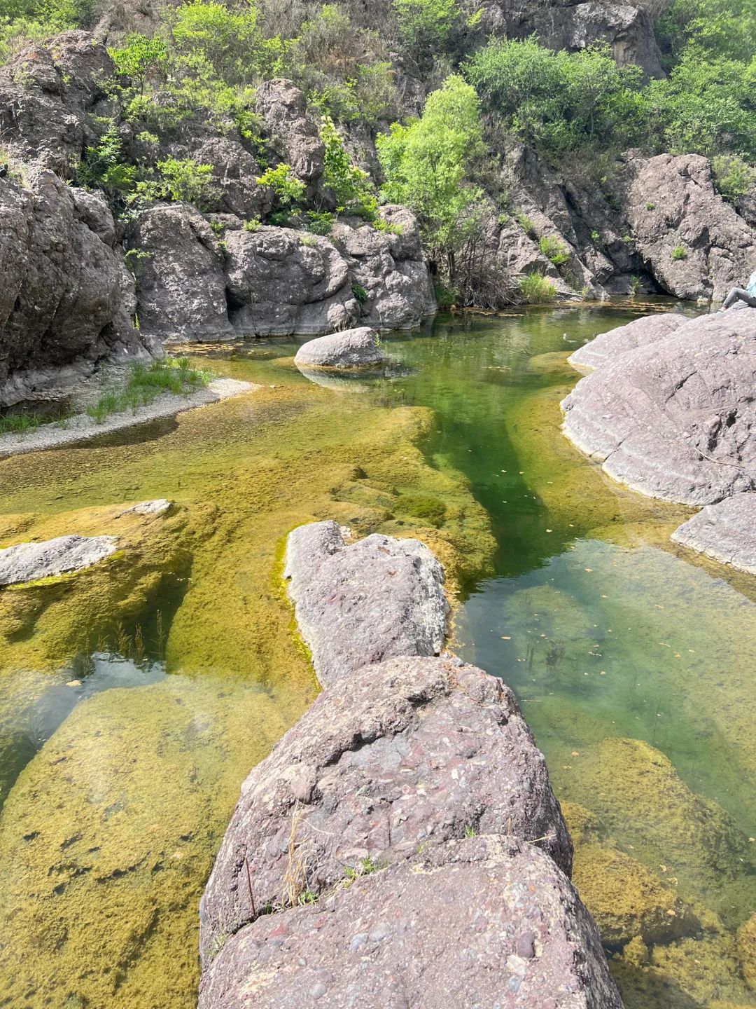翠鸟谷旅行图片 2