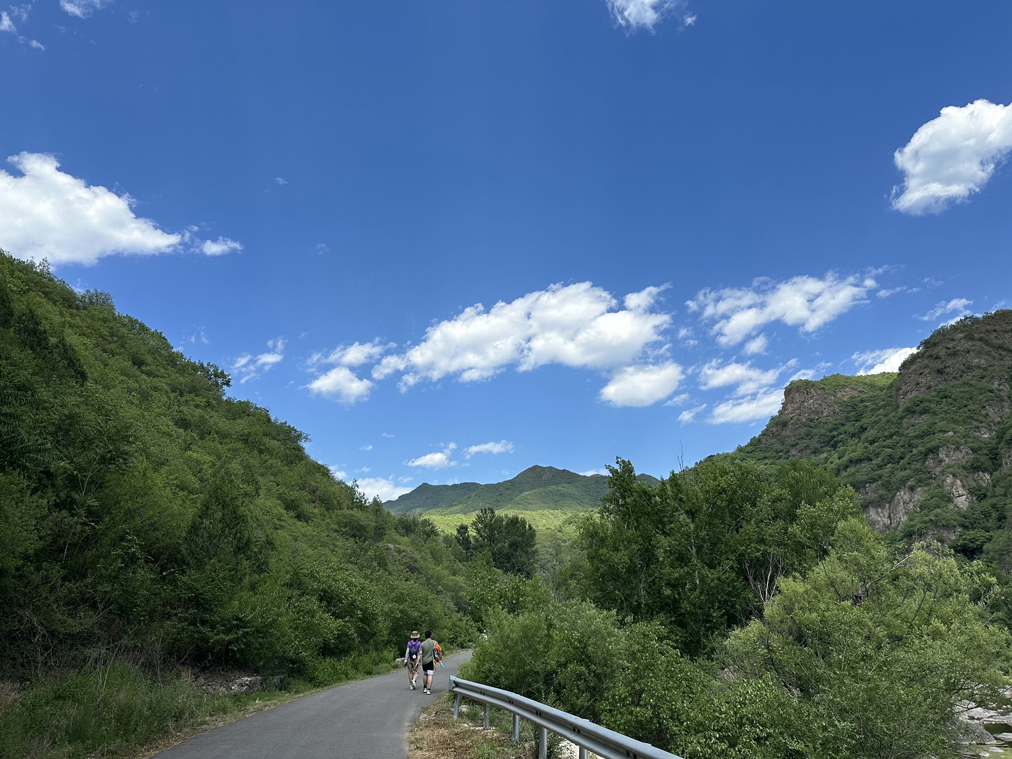 翠鸟谷旅行图片 2