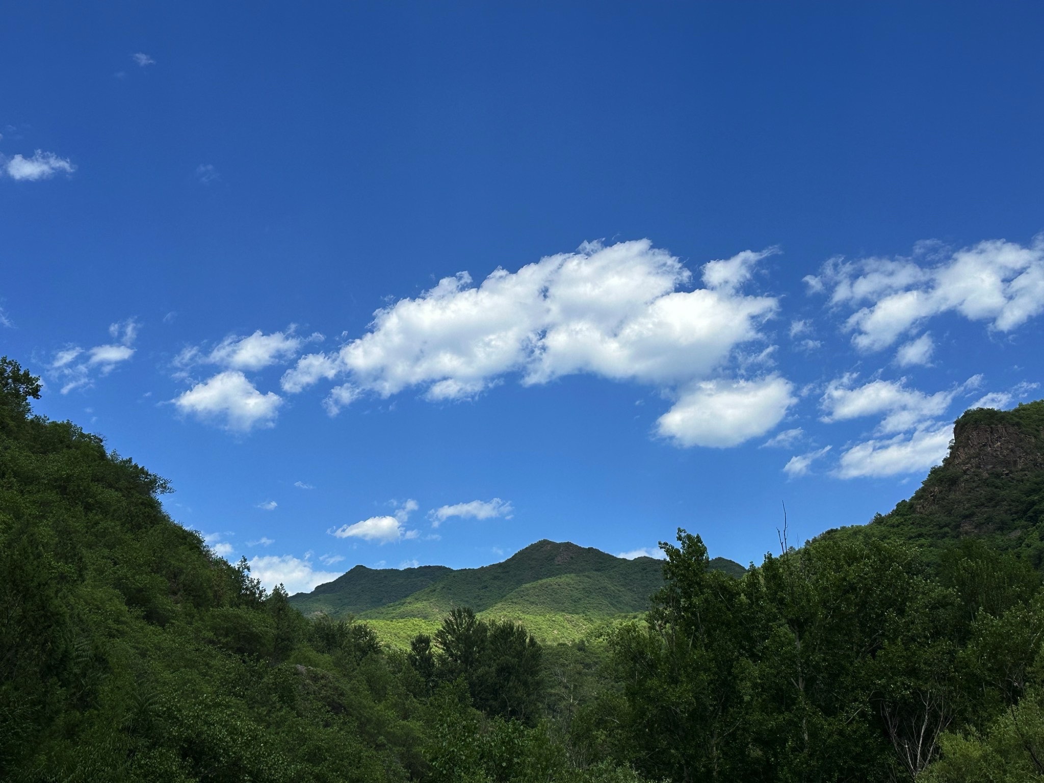 翠鸟谷旅行图片 1