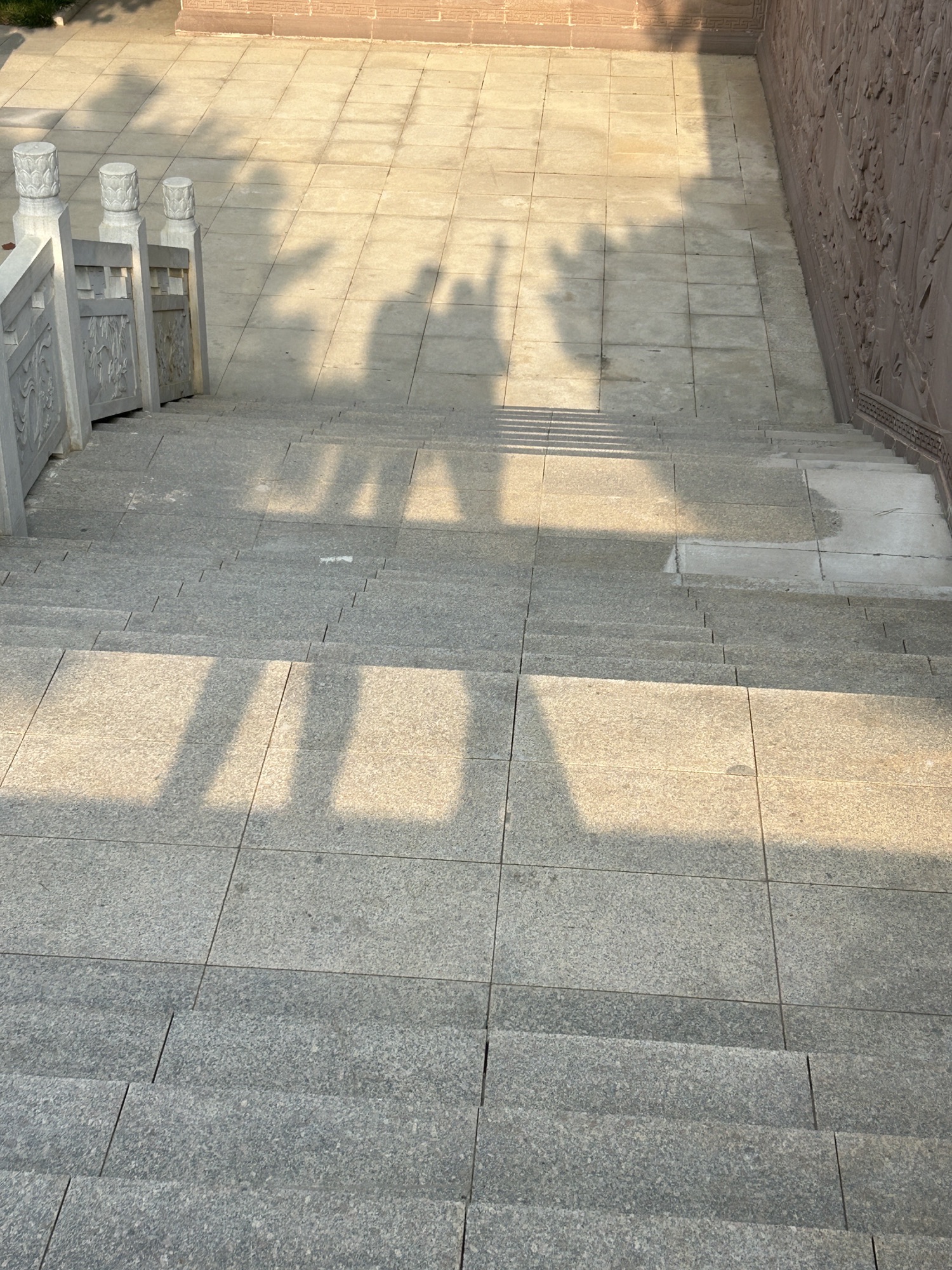 松阳河湿地公园旅行图片 2