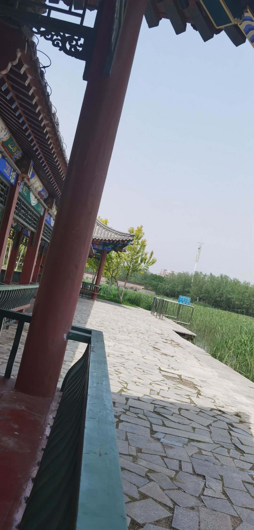 松阳河湿地公园旅行图片 2