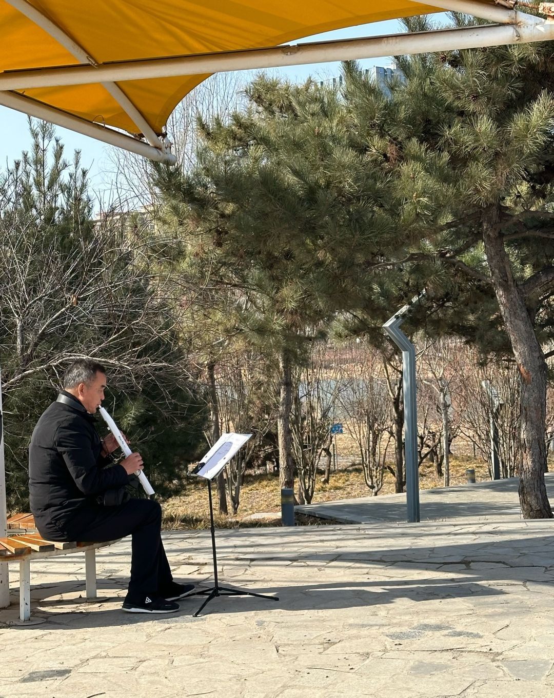 松阳河湿地公园旅行图片 1