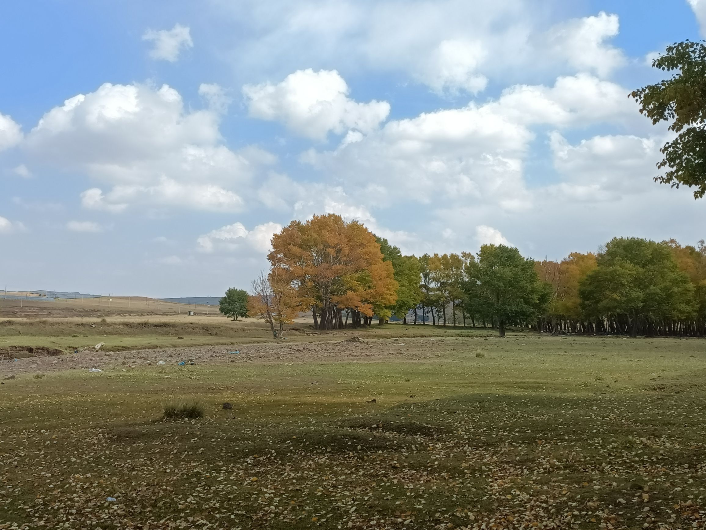 辉腾锡勒草原(暂停开放)旅行图片 2