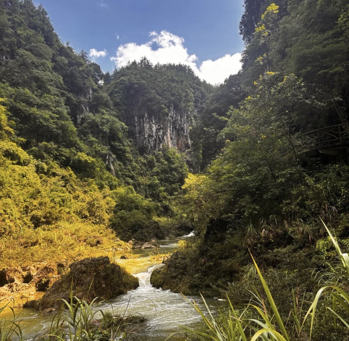 古苗河大峡谷景区旅行图片 2