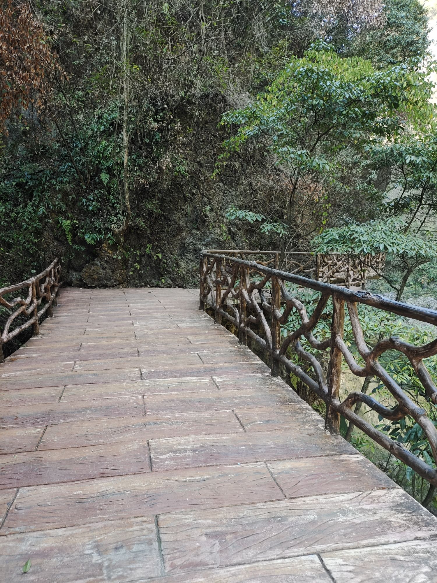 古苗河大峡谷景区旅行图片 3