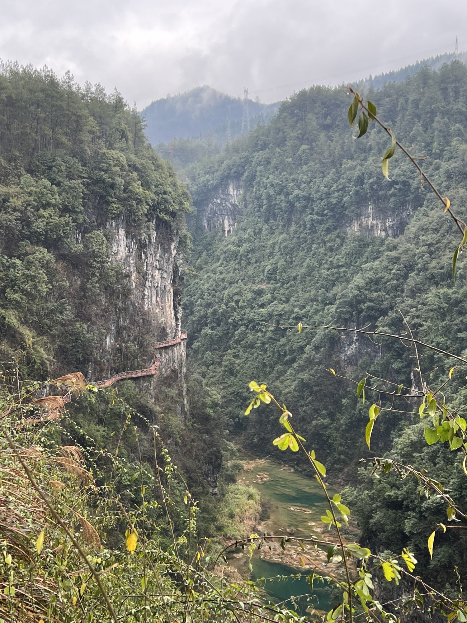 古苗河大峡谷景区旅行图片 1
