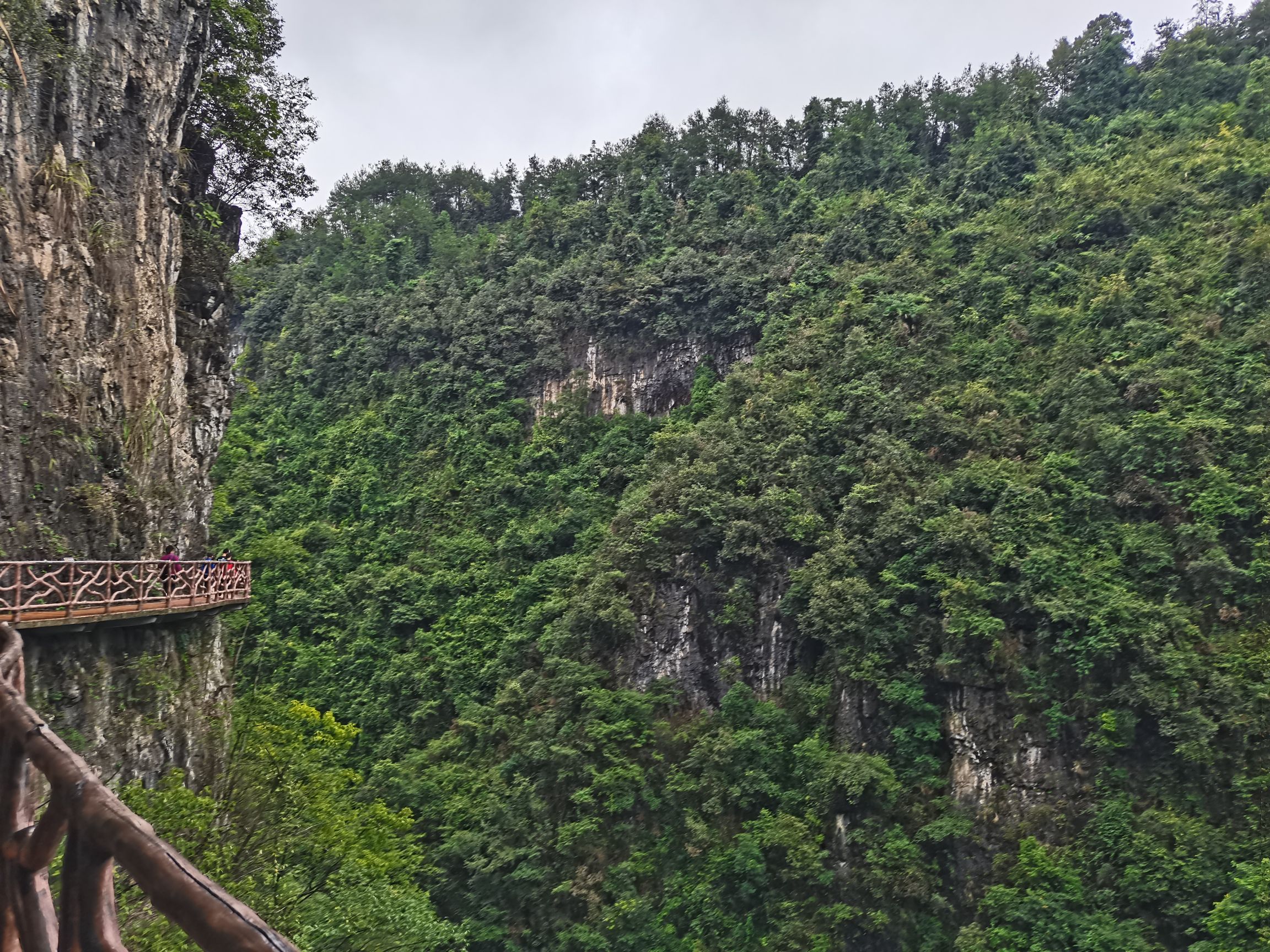 古苗河大峡谷景区旅行图片 1
