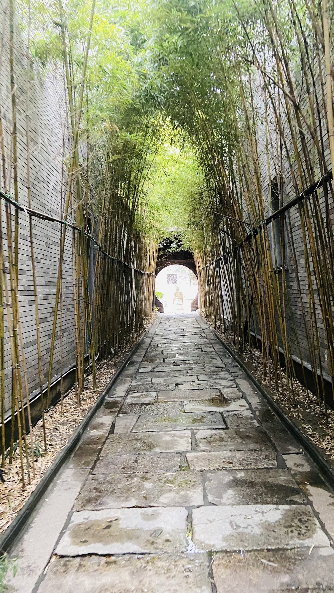 龙潭阁旅行图片 3