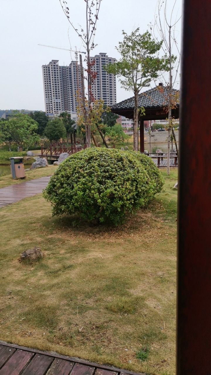 武家山森林公园旅行图片 2