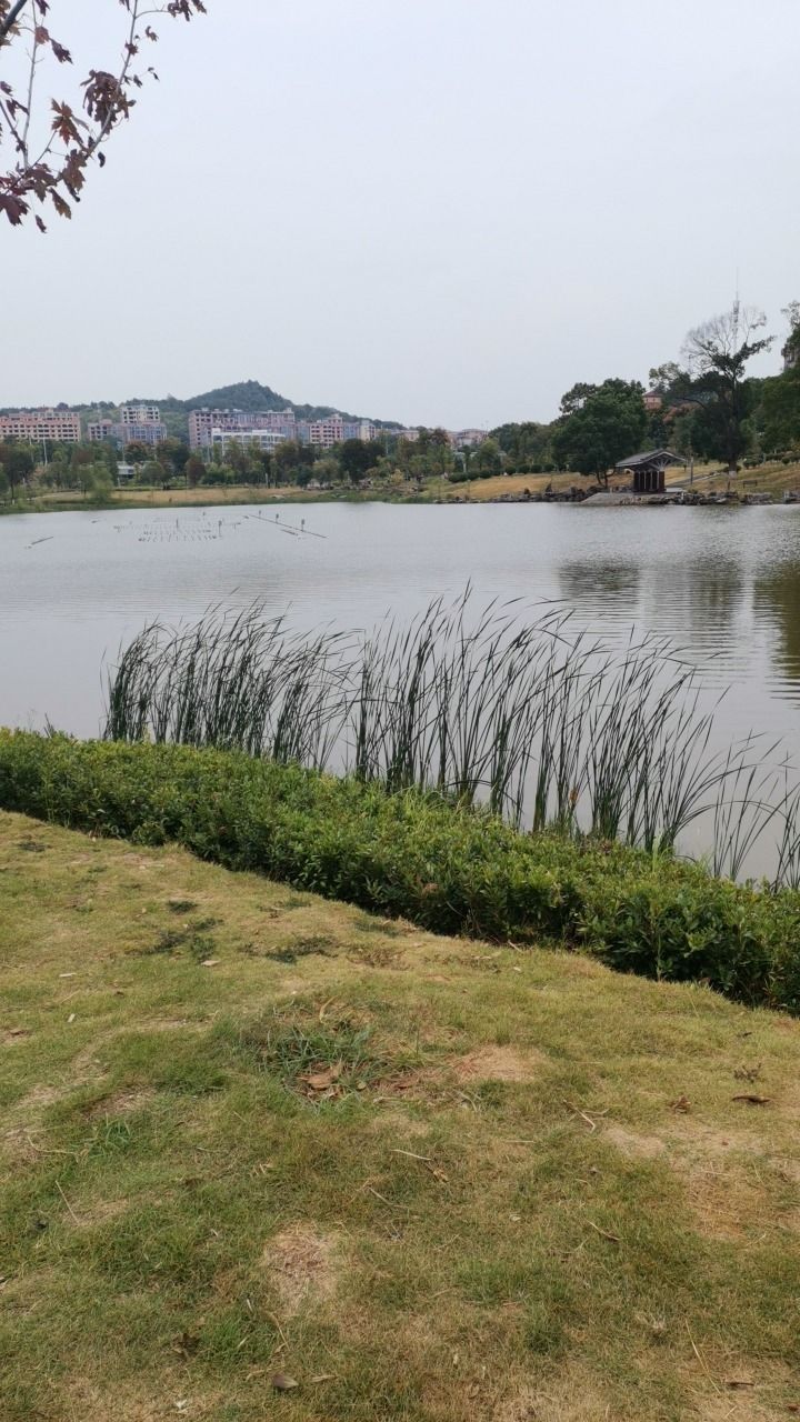 武家山森林公园旅行图片 3