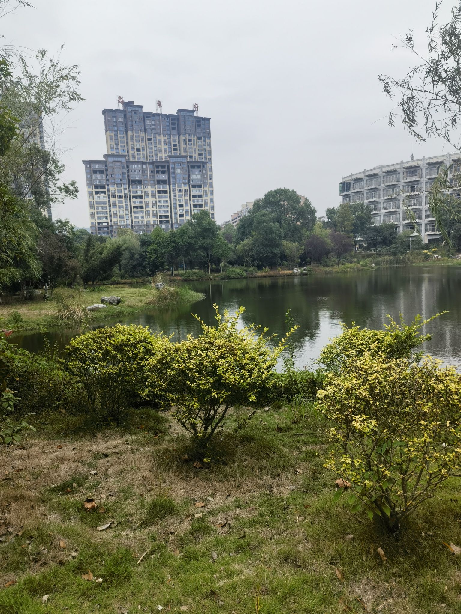 武家山森林公园旅行图片 1