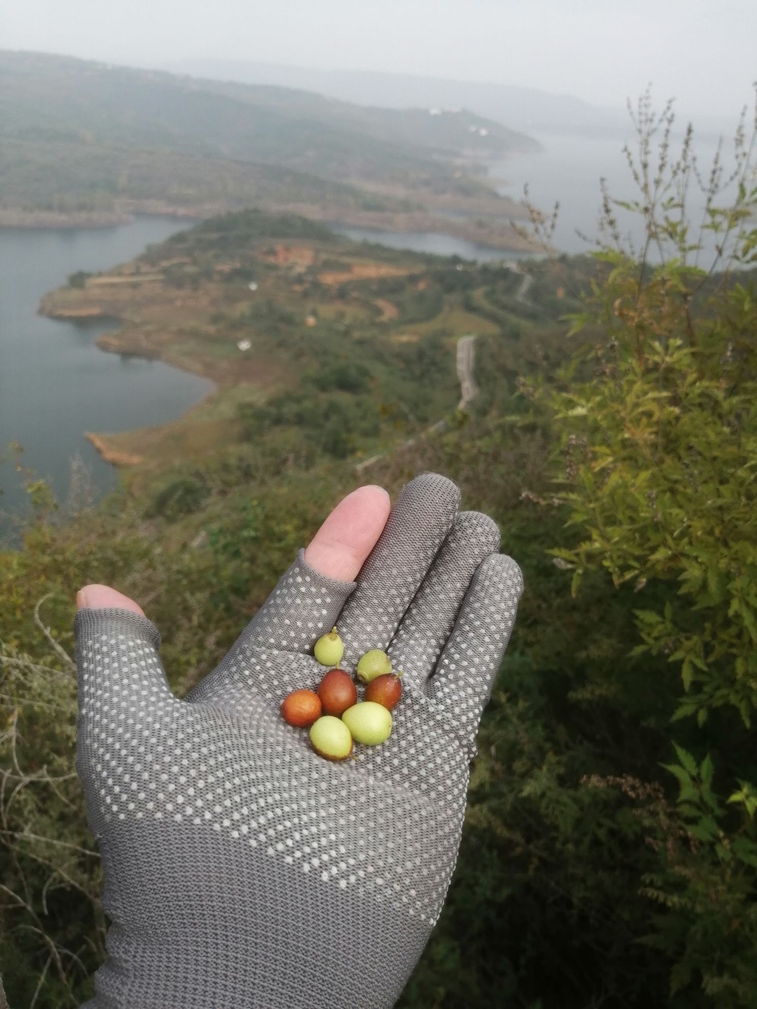 地藏王菩萨塑像旅行图片 3