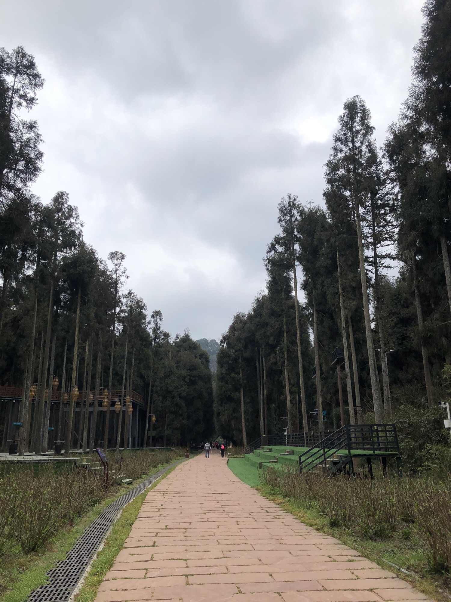 丹景山狮子宝观景台旅行图片 3