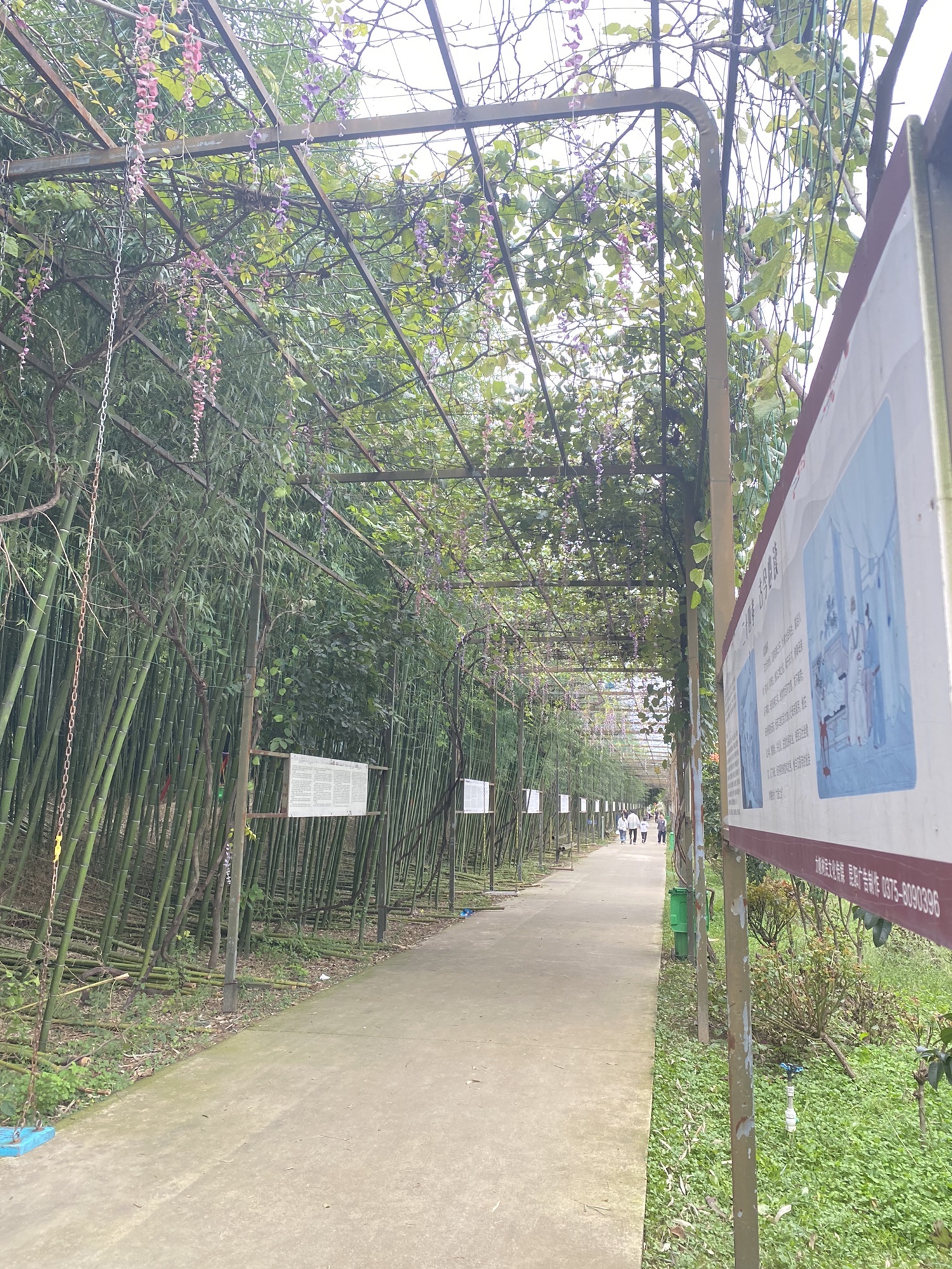 孔子庄园旅行图片 1