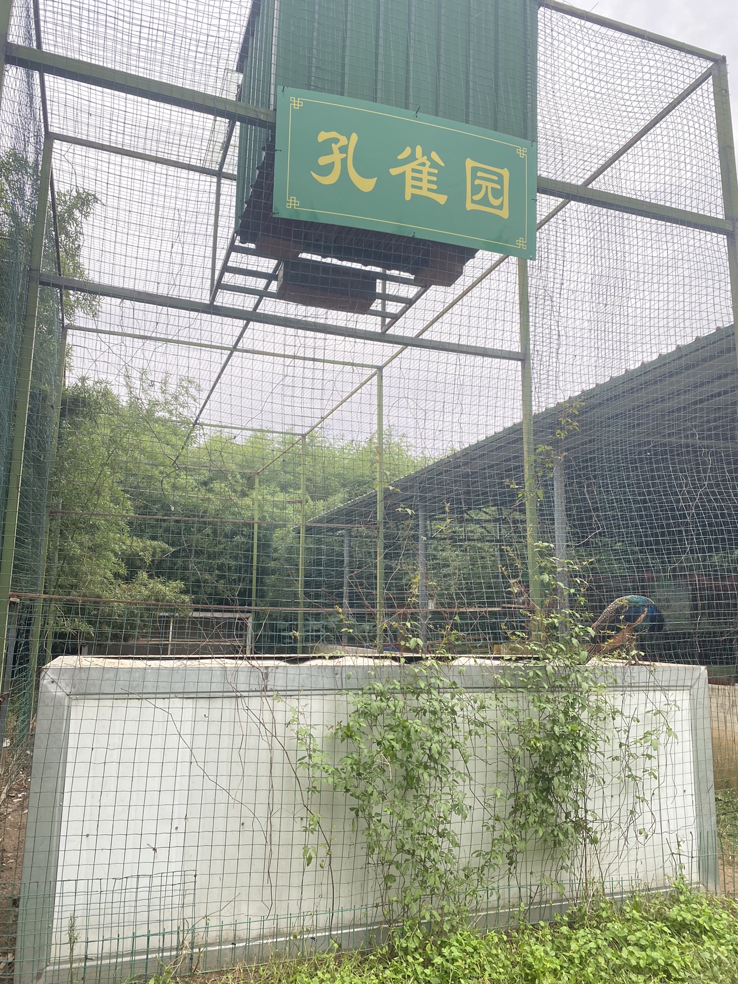 孔子庄园旅行图片 2