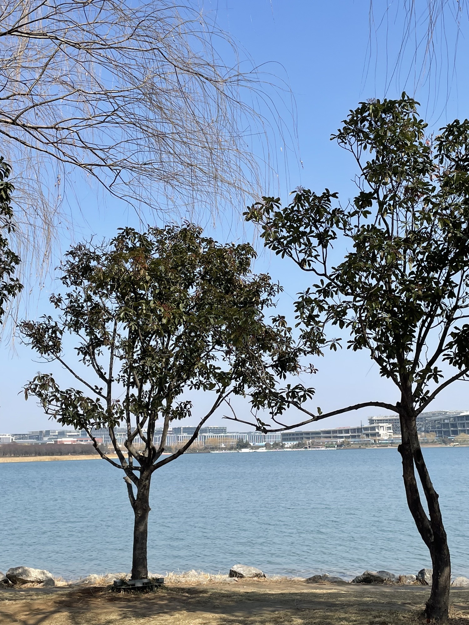 郑州市森林公园旅行图片 3