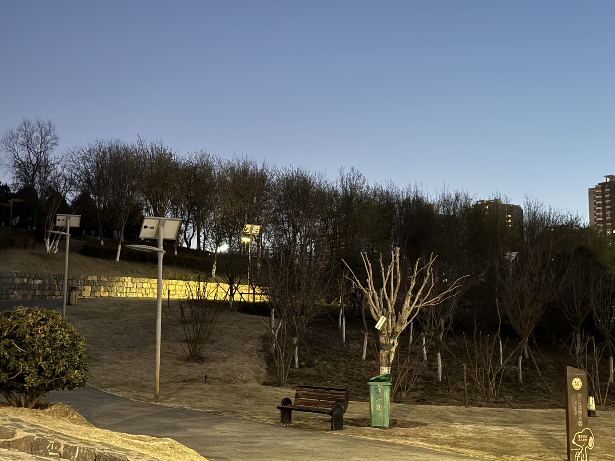 郑州市森林公园旅行图片 3