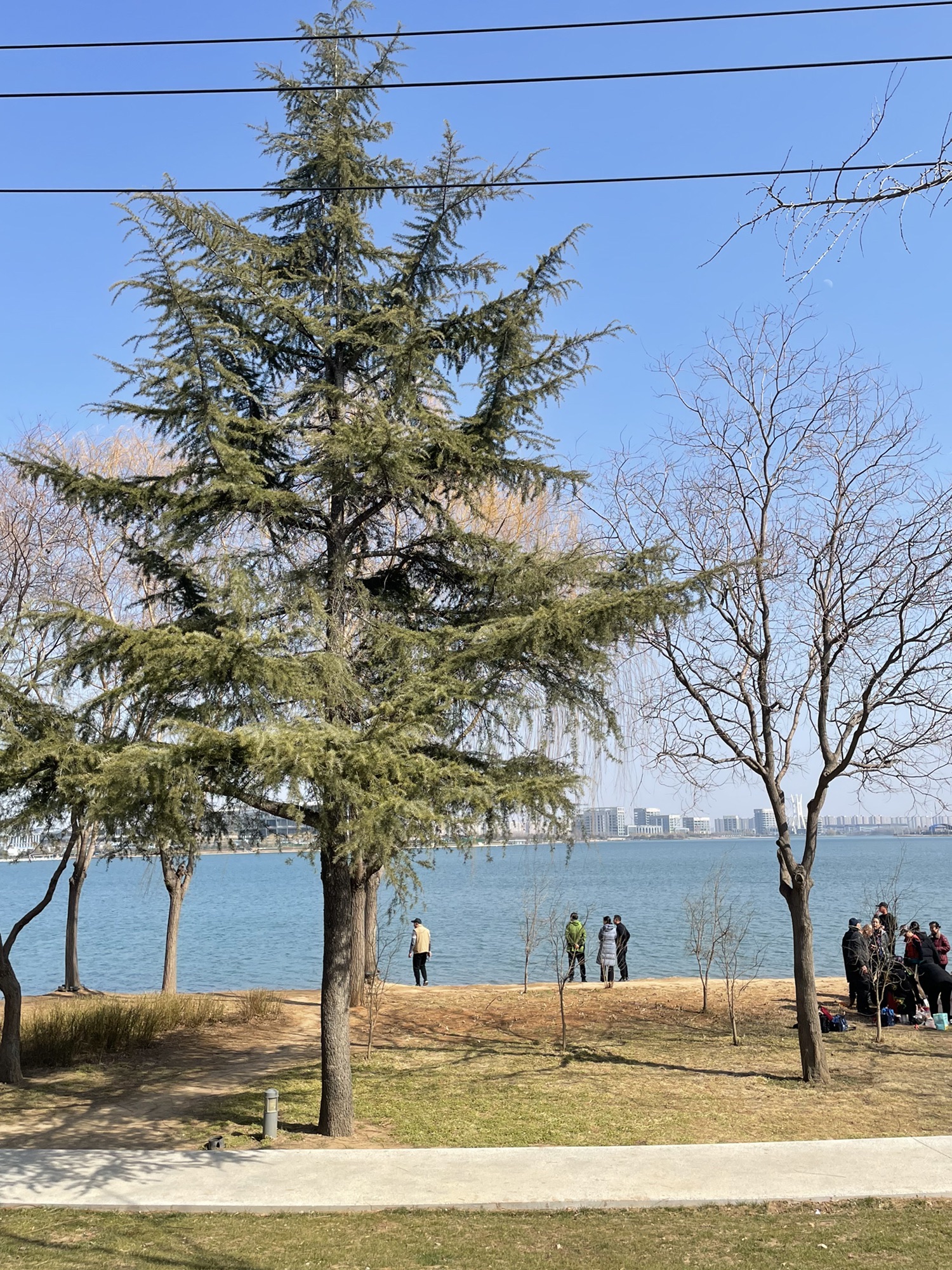 郑州市森林公园旅行图片 2
