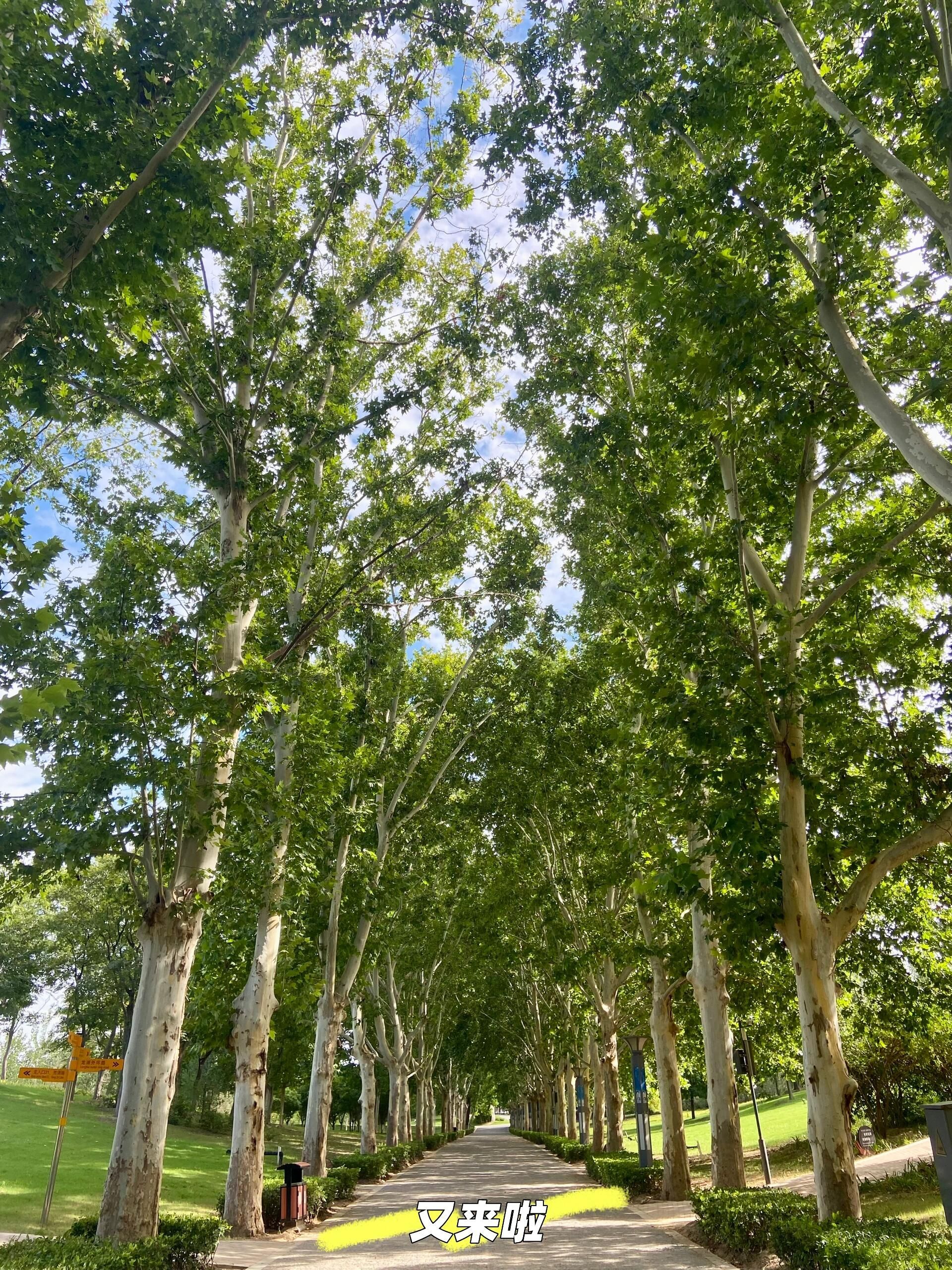 郑州市森林公园旅行图片 3