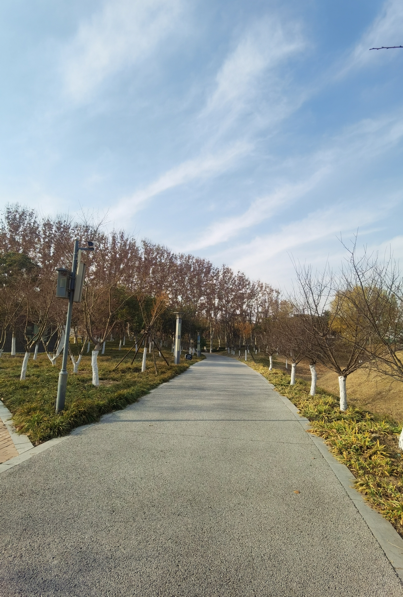 郑州市森林公园旅行图片 3