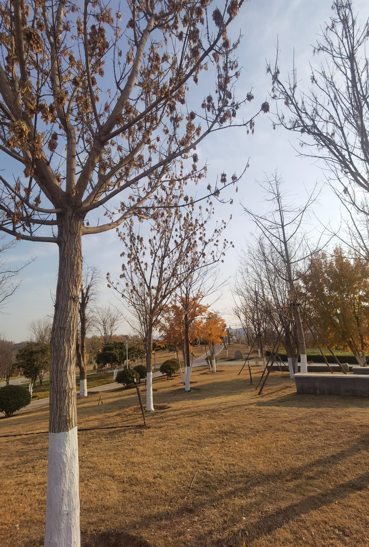 郑州市森林公园旅行图片 2