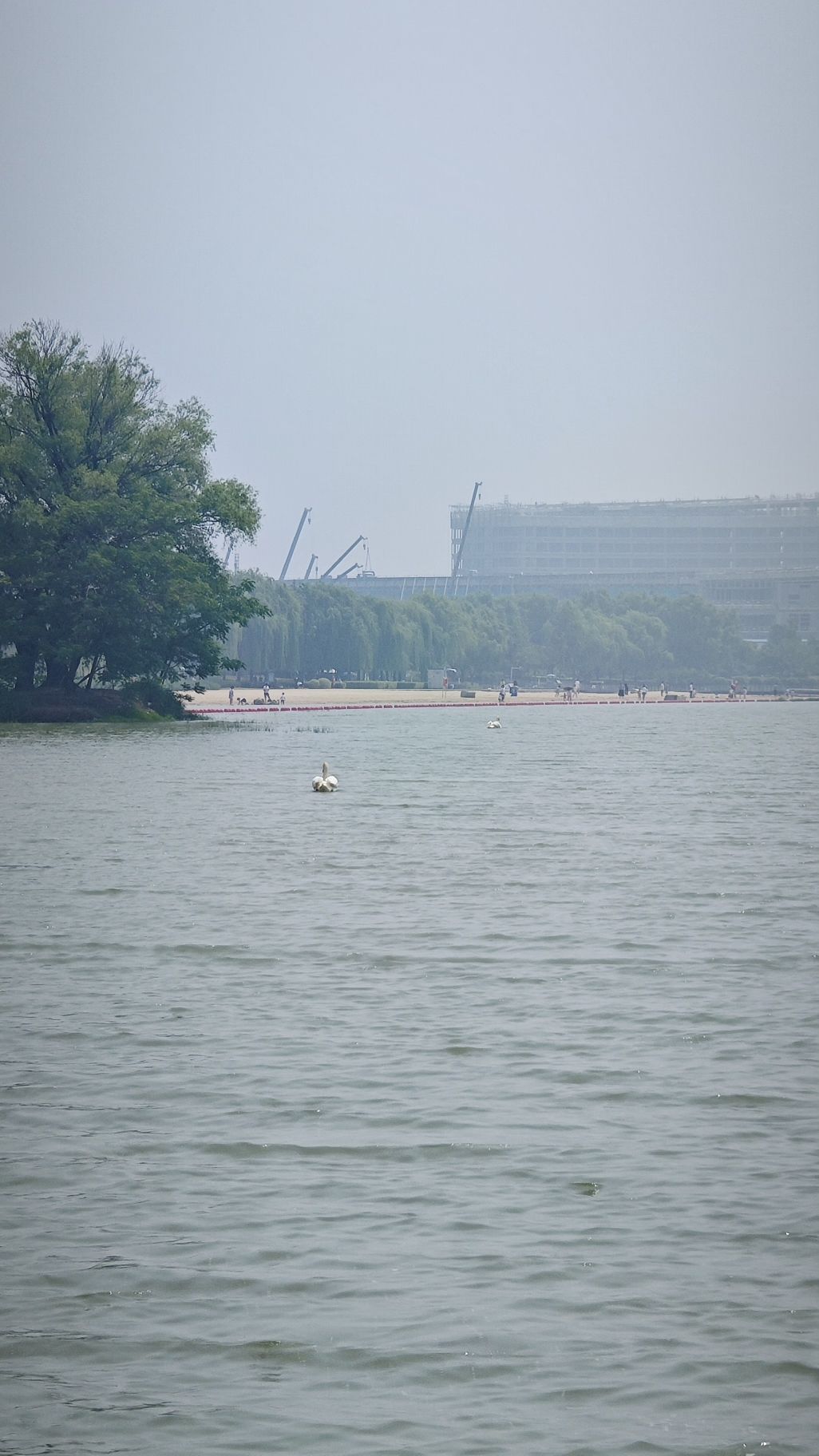 郑州市森林公园旅行图片 3