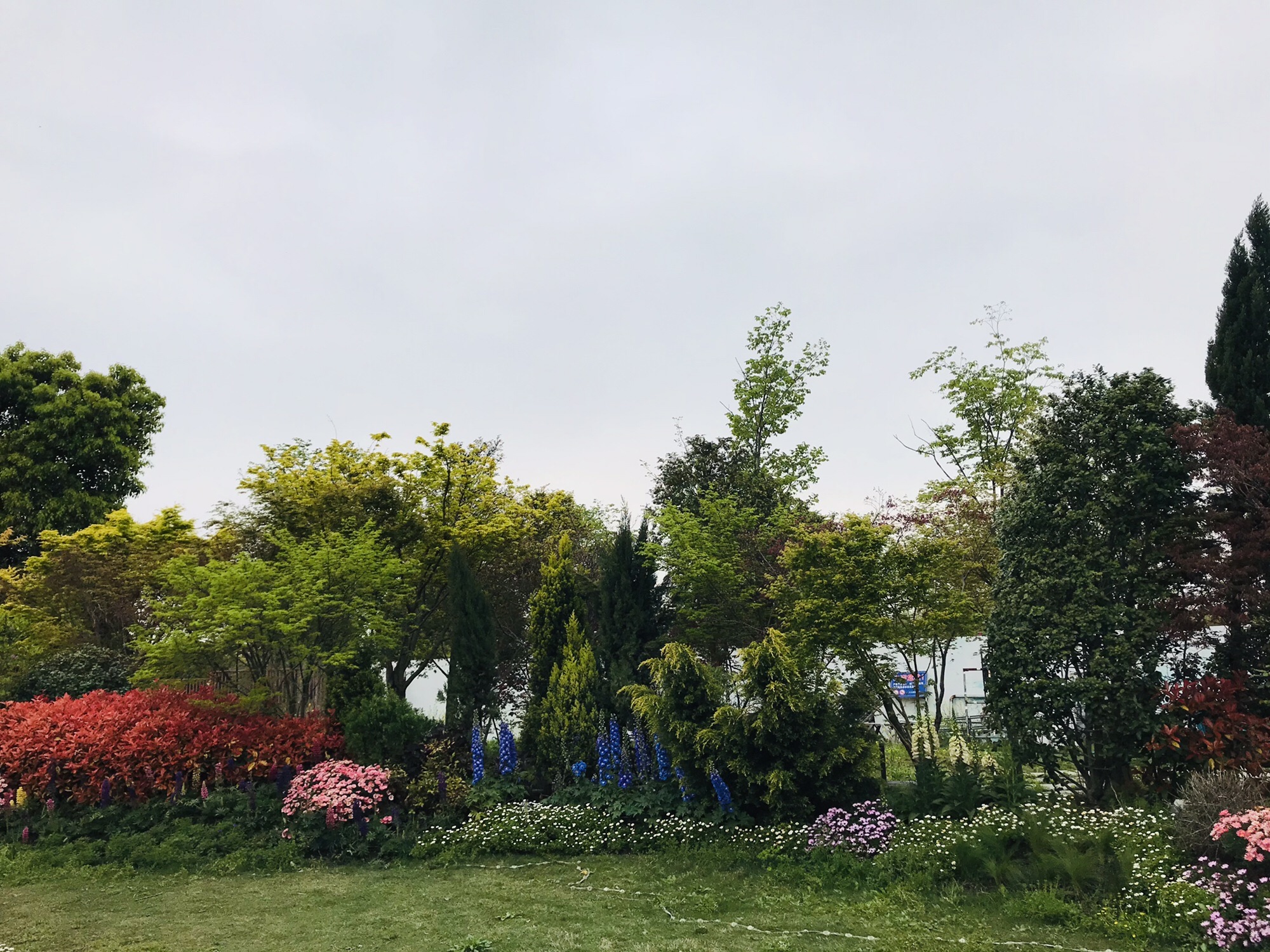 花星球旅行图片 2