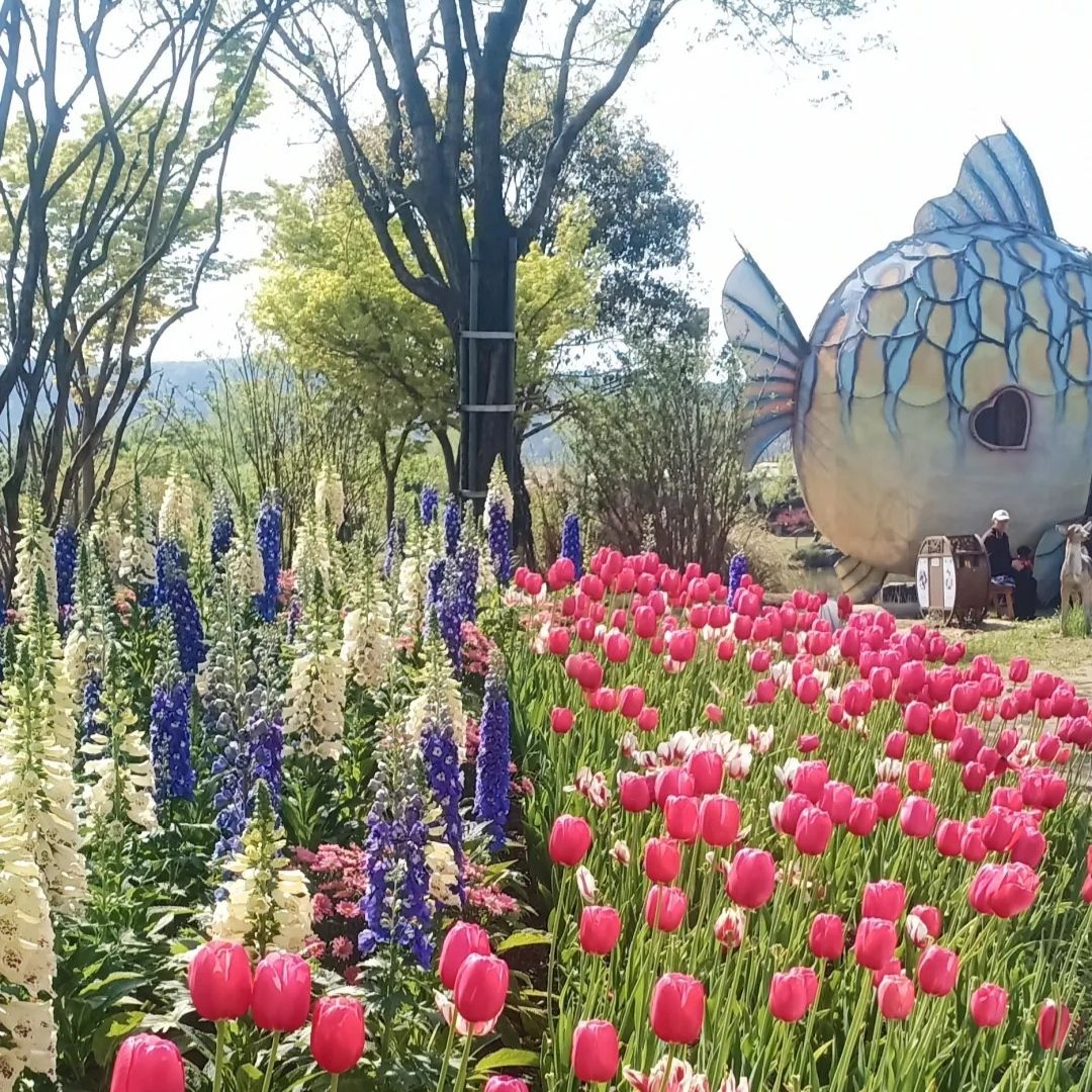 花星球旅行图片 3