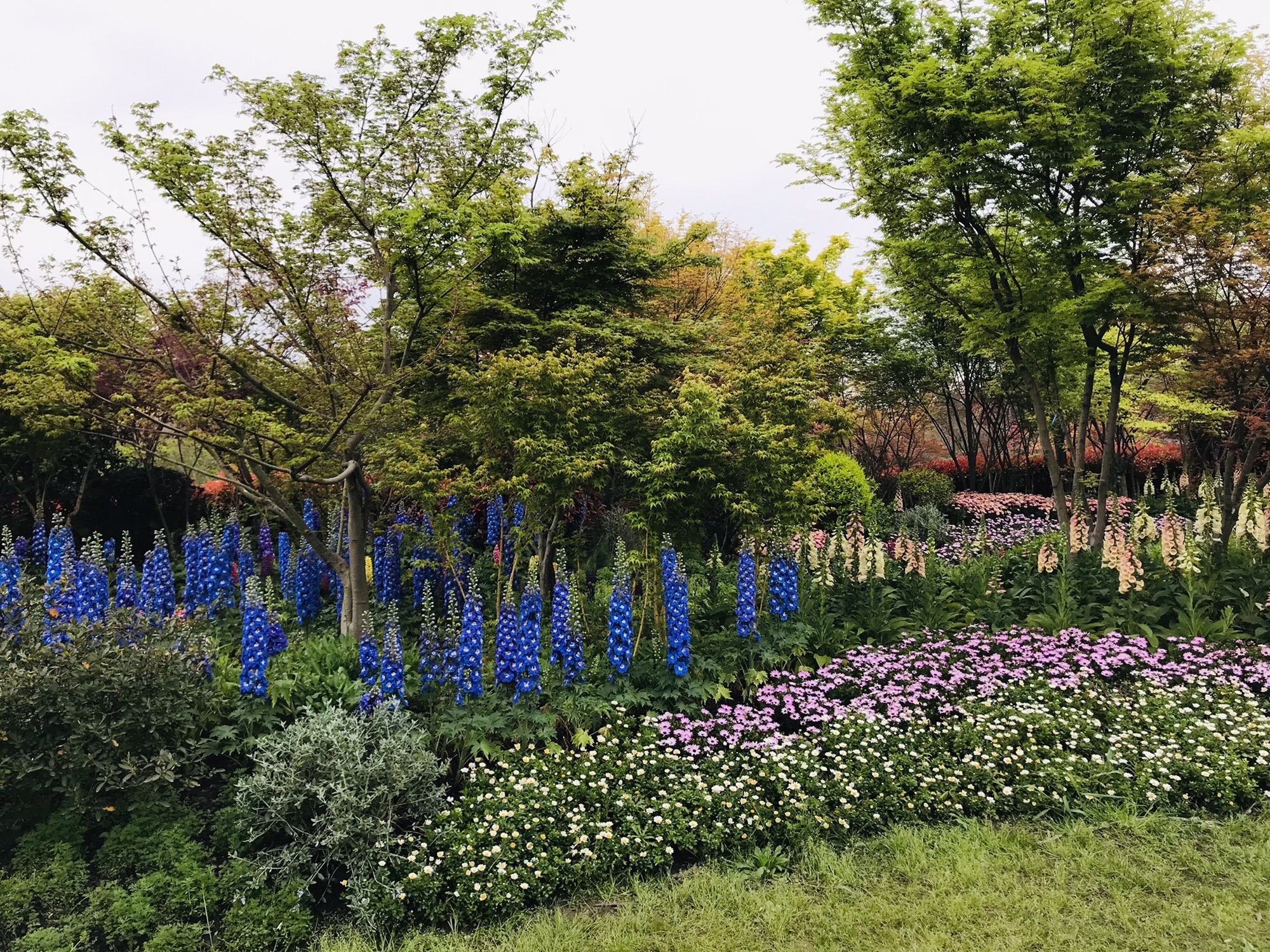 花星球旅行图片 3