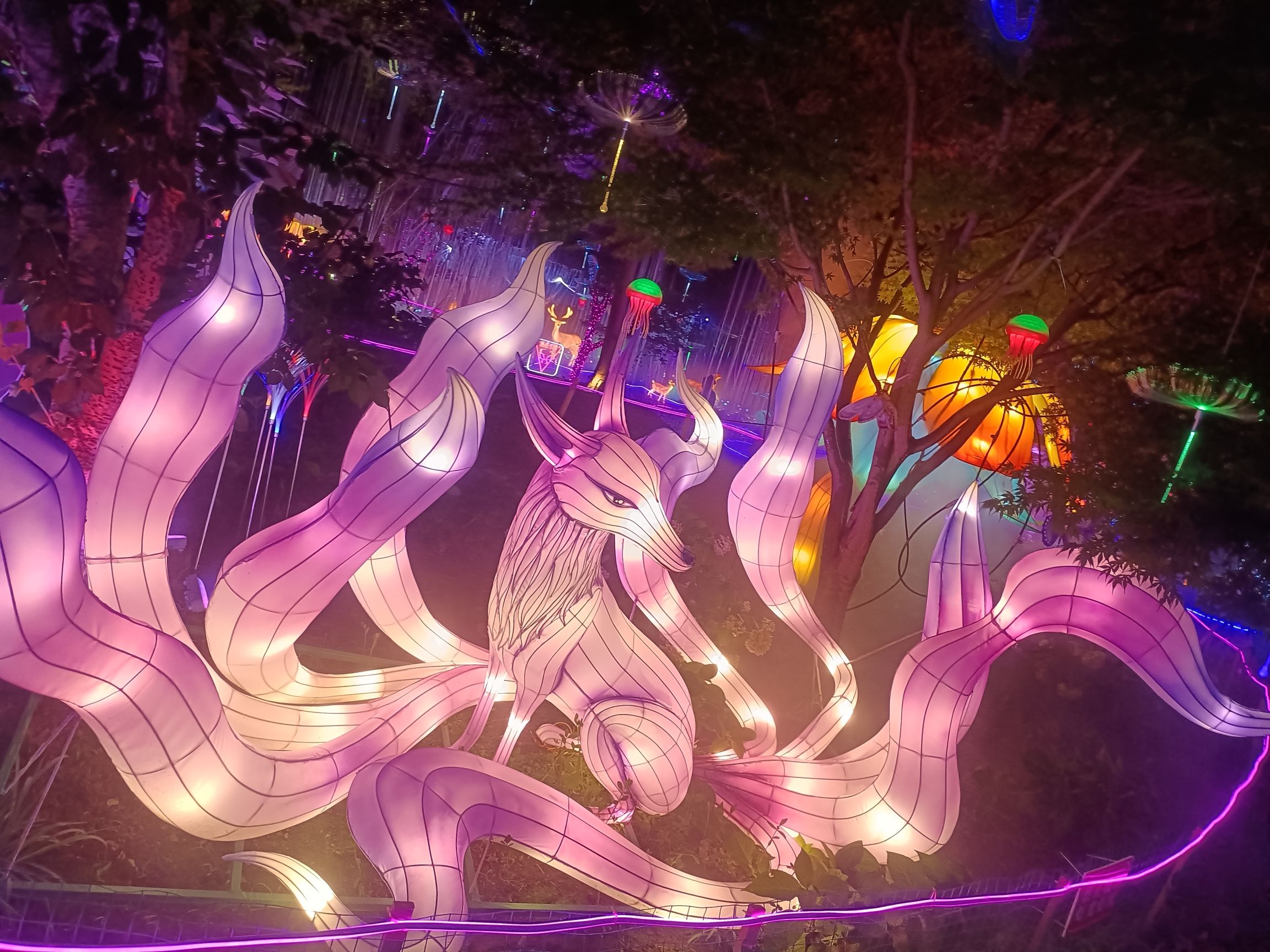 花星球旅行图片 2