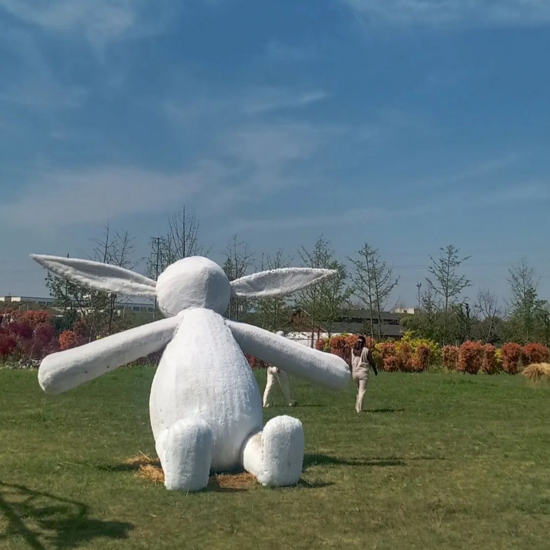 花星球旅行图片 2
