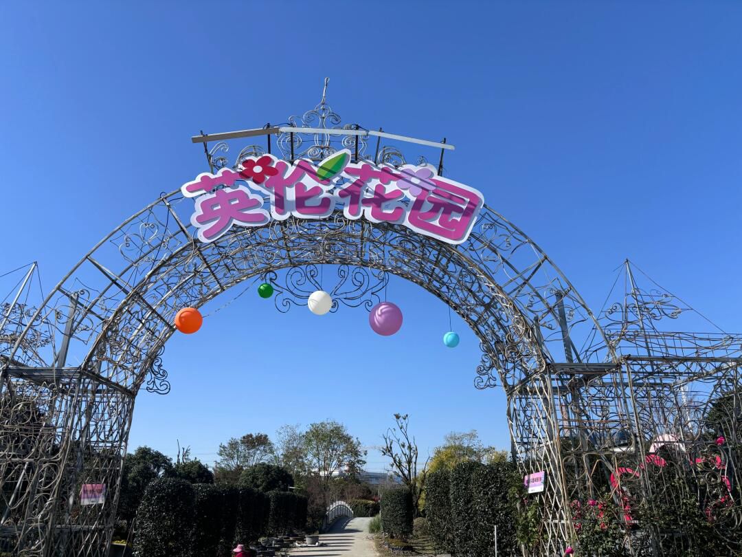 花星球旅行图片 1