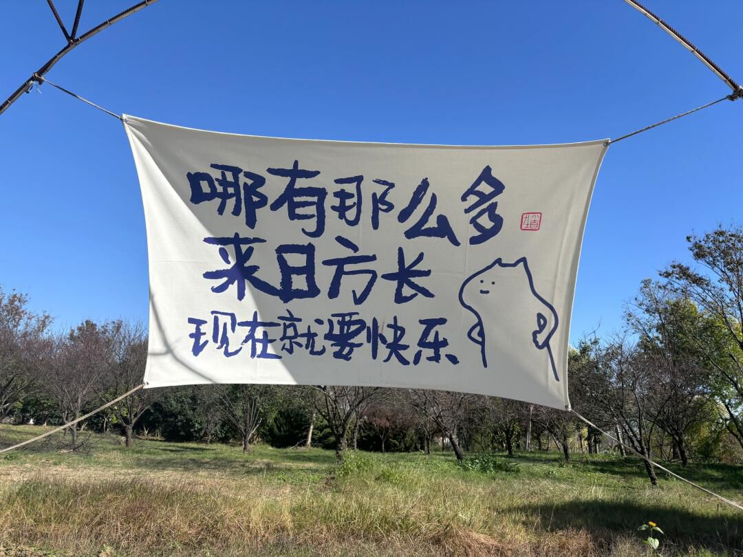 花星球旅行图片 3