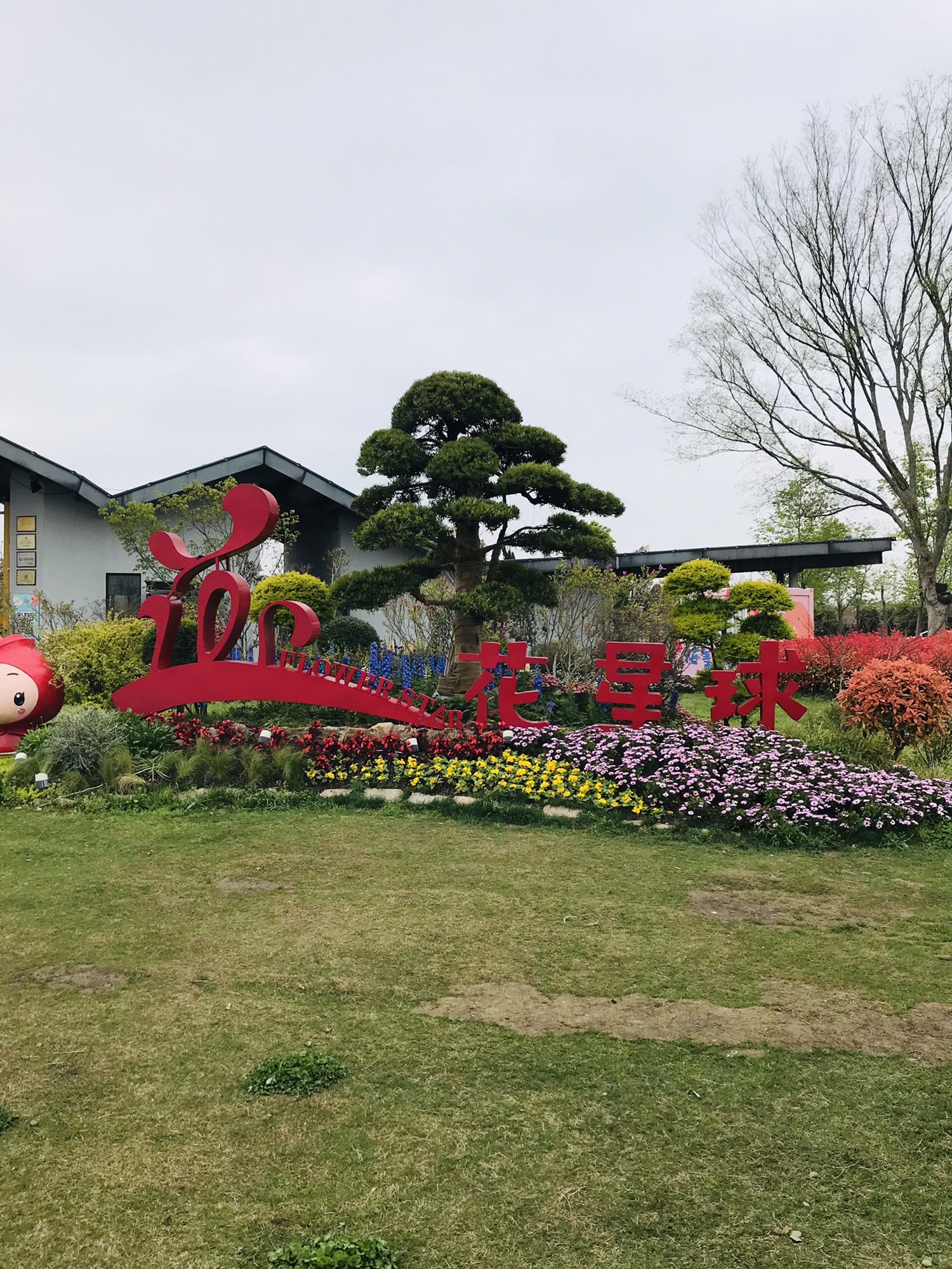 花星球旅行图片 1