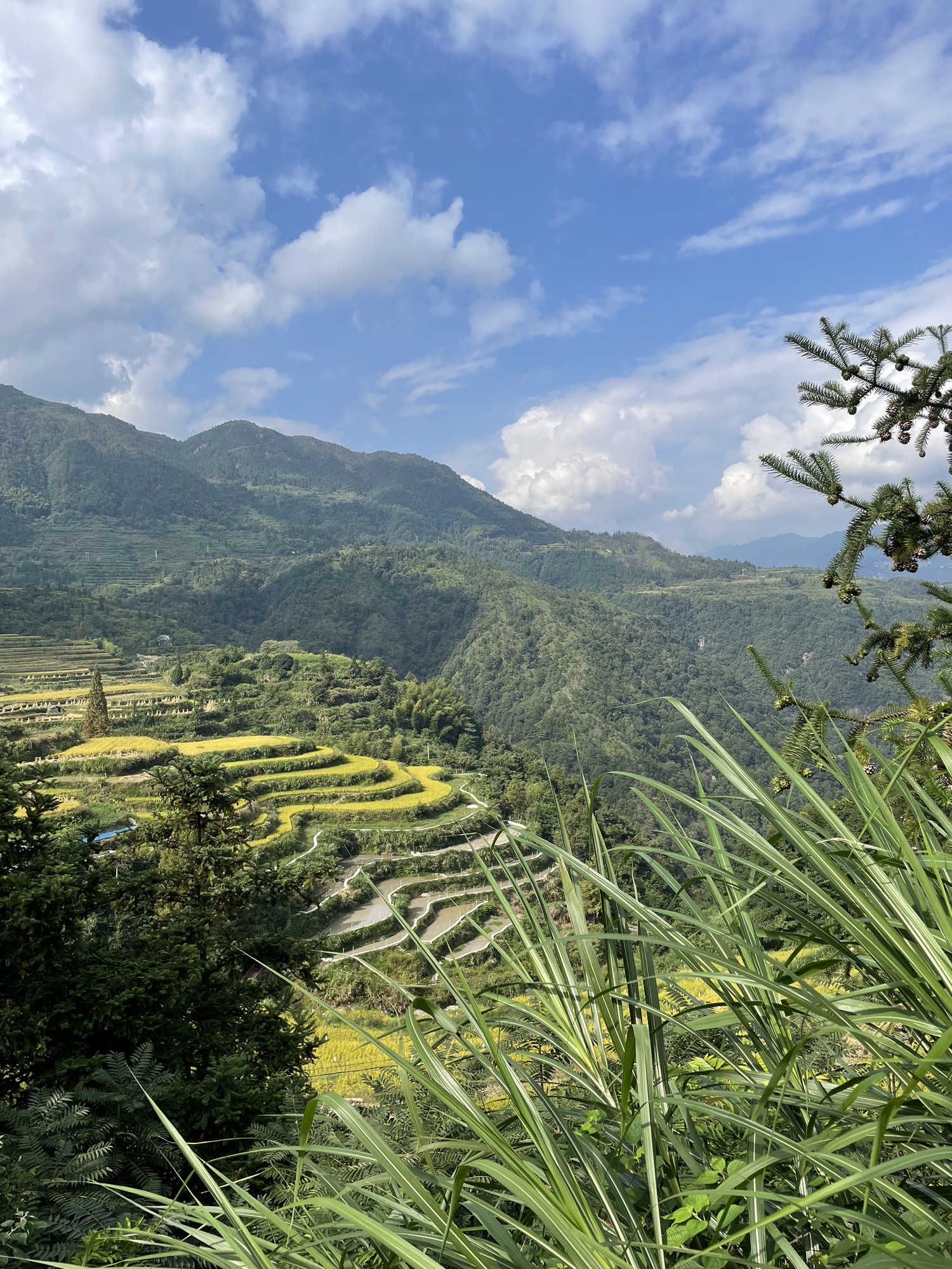 浙南地峡旅行图片 3