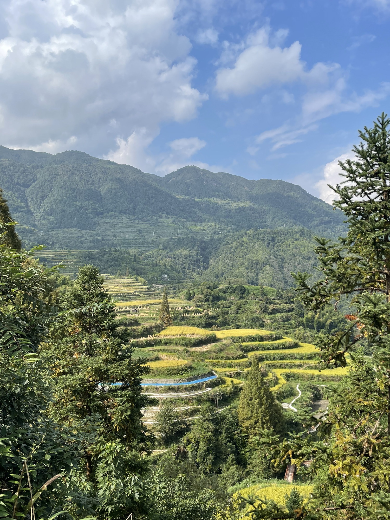 浙南地峡旅行图片 2