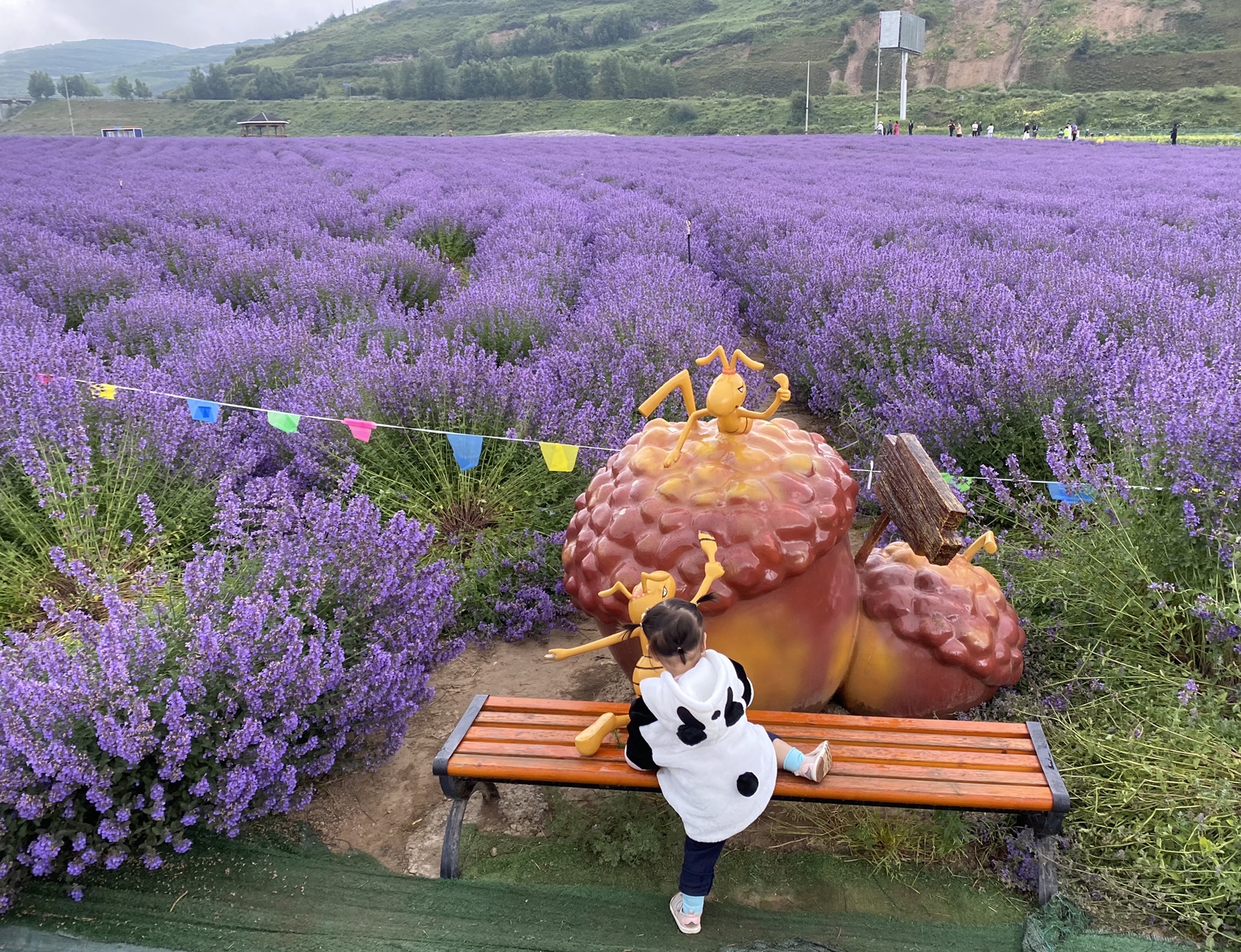 天堂香谷旅行图片 2