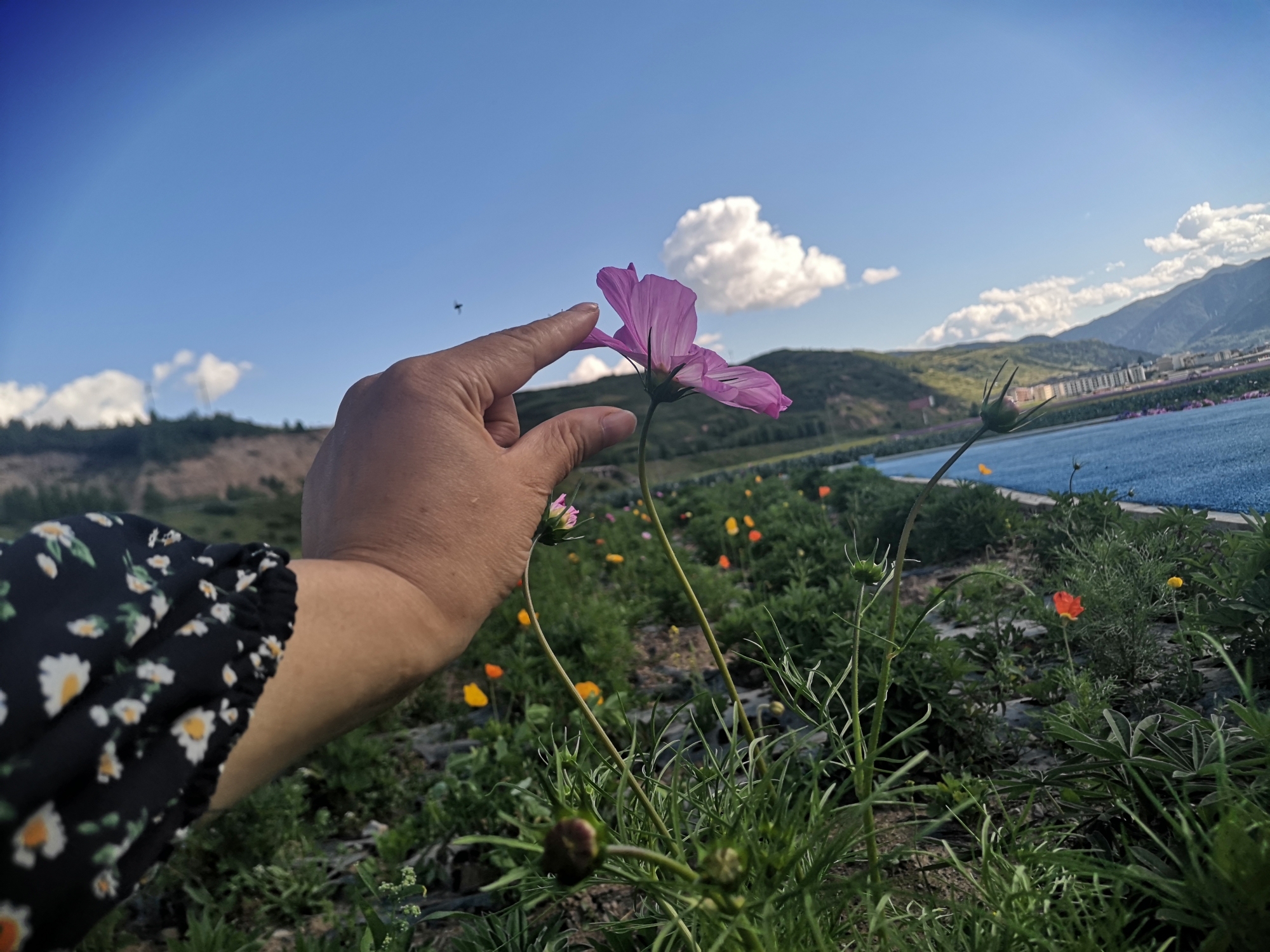 天堂香谷旅行图片 3