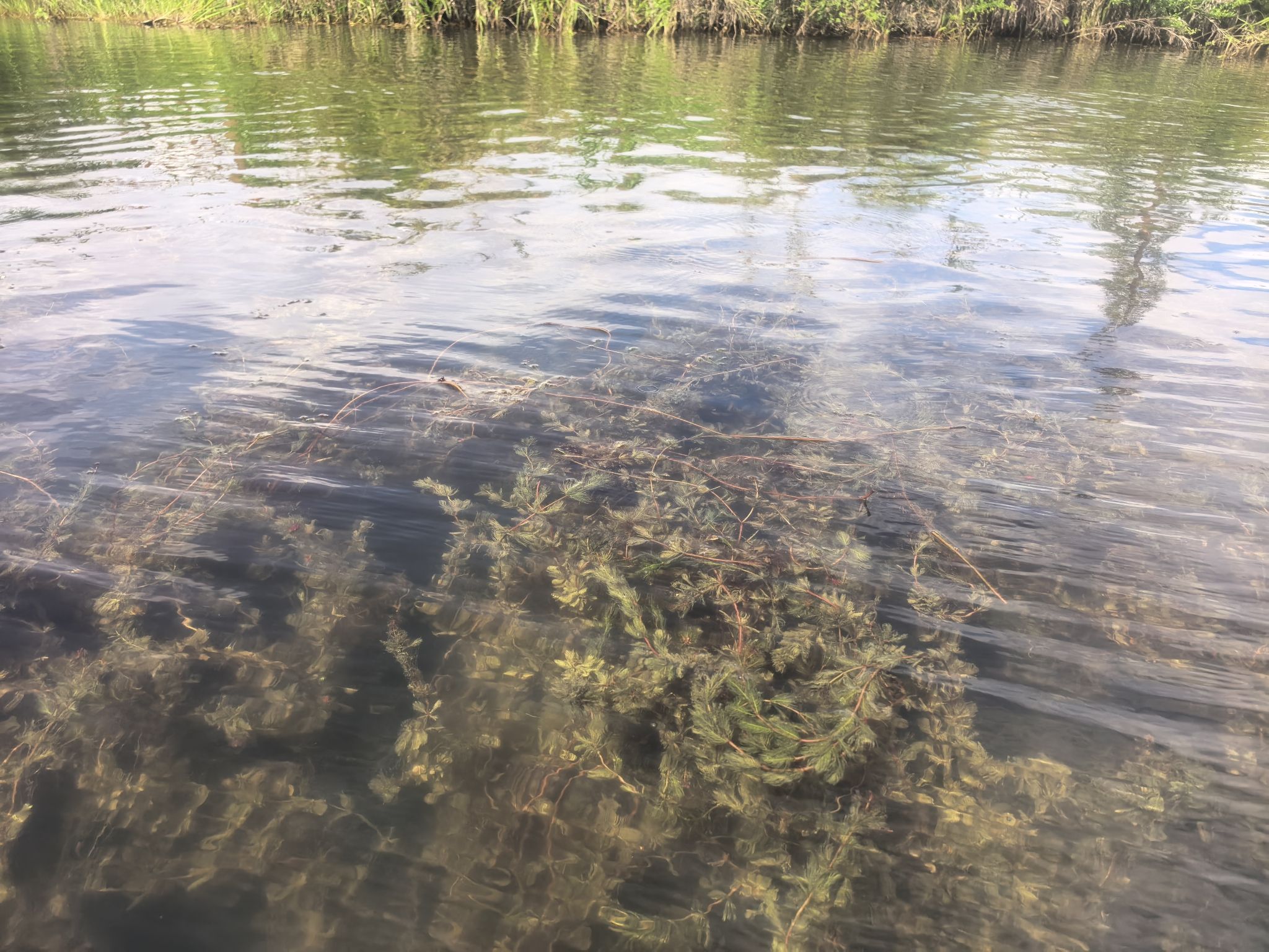 普者黑十里桃花花果山