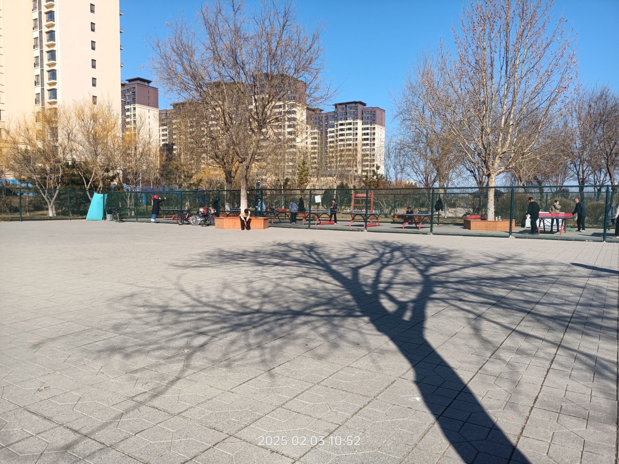 民乐园旅行图片 1