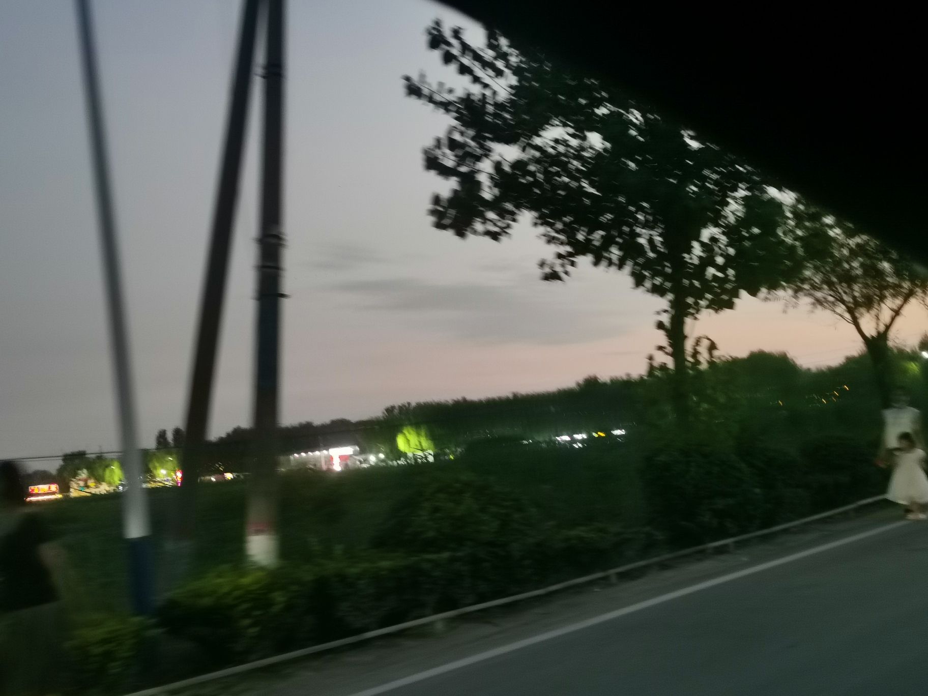 方里莲花池旅行图片 3