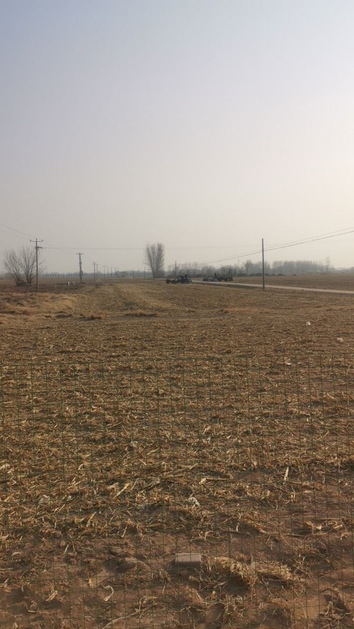 汉城安陵旅游风景区旅行图片 3